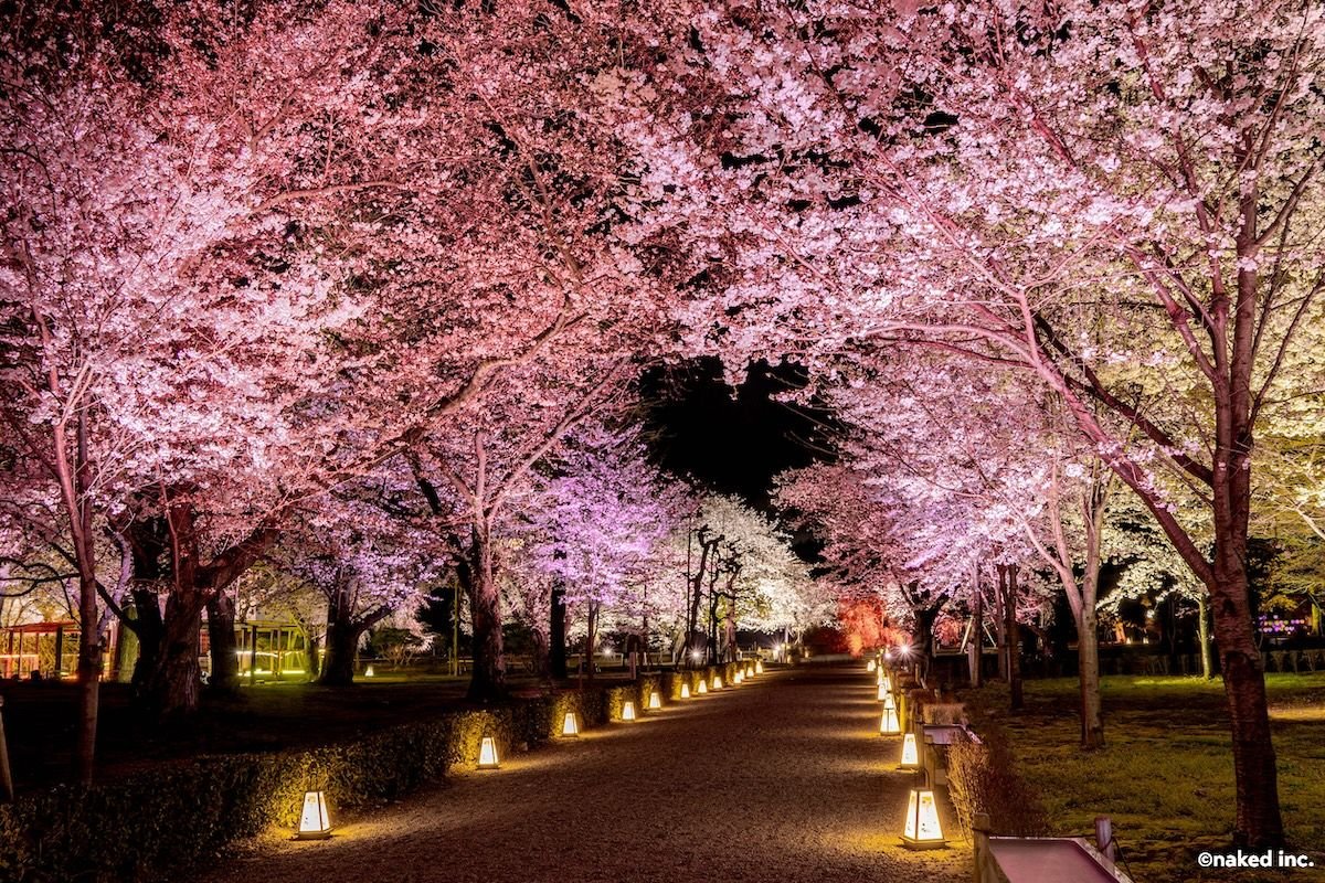 🎨 만화 고시엔 거리(만가 코시엔 도리) 이미지 6